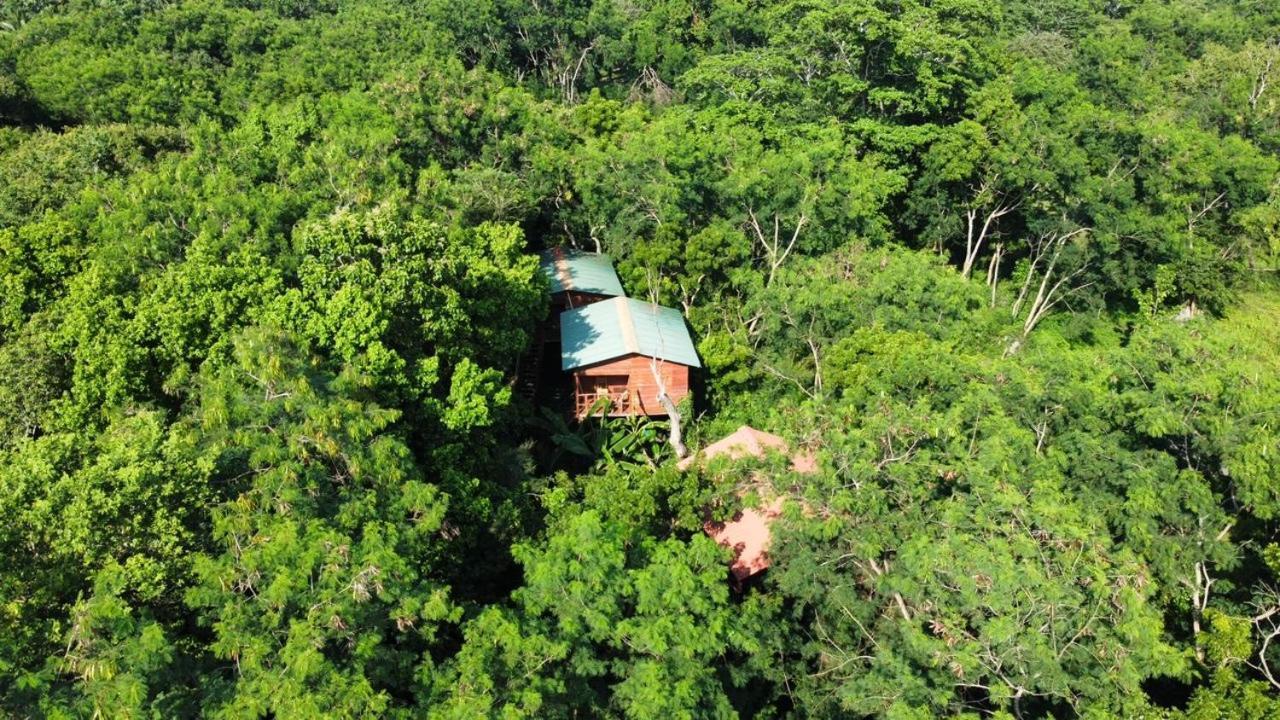 Tree House Hostel Sigiriya Bagian luar foto