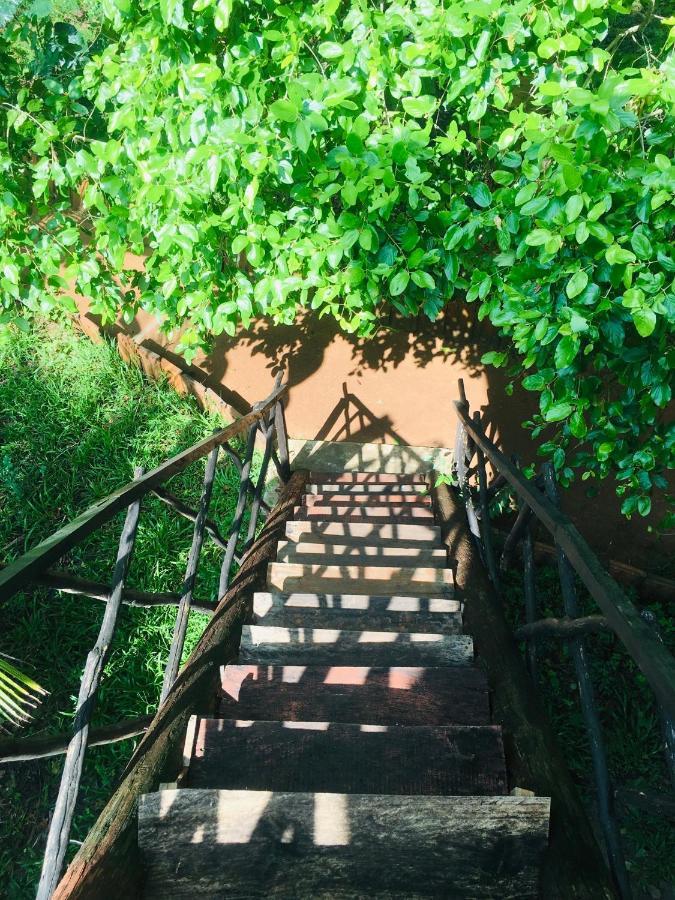 Tree House Hostel Sigiriya Bagian luar foto