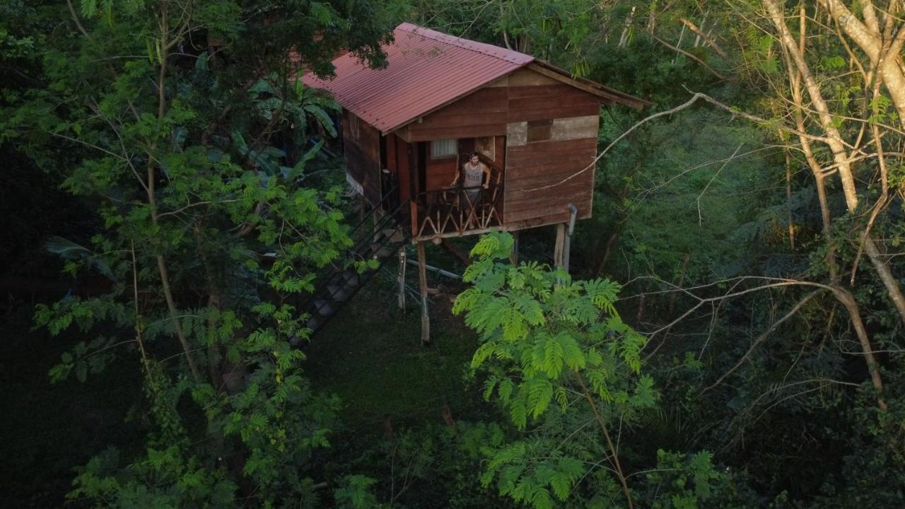 Tree House Hostel Sigiriya Bagian luar foto