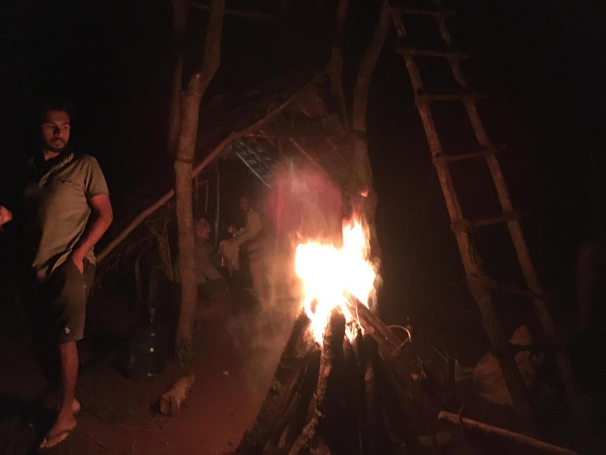 Tree House Hostel Sigiriya Bagian luar foto