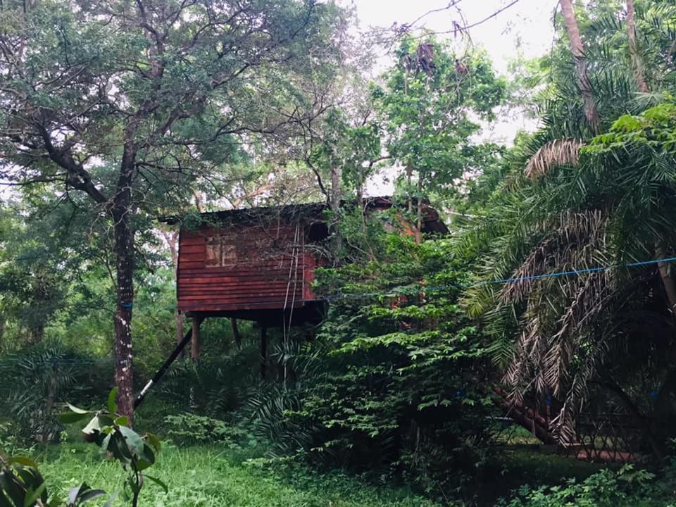 Tree House Hostel Sigiriya Bagian luar foto