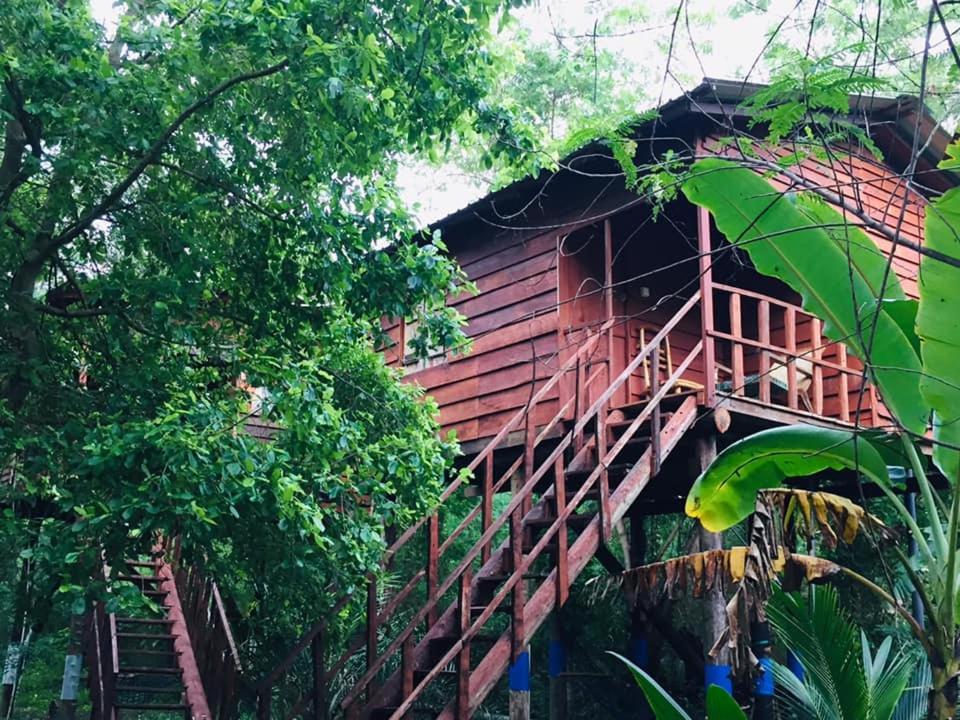 Tree House Hostel Sigiriya Bagian luar foto