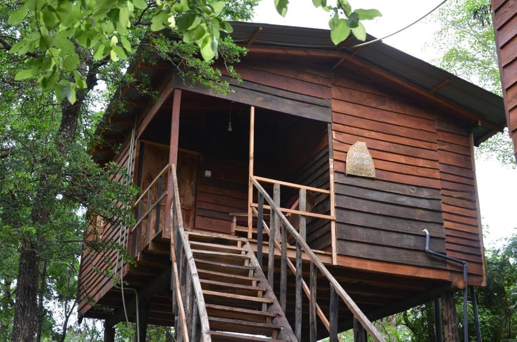 Tree House Hostel Sigiriya Bagian luar foto